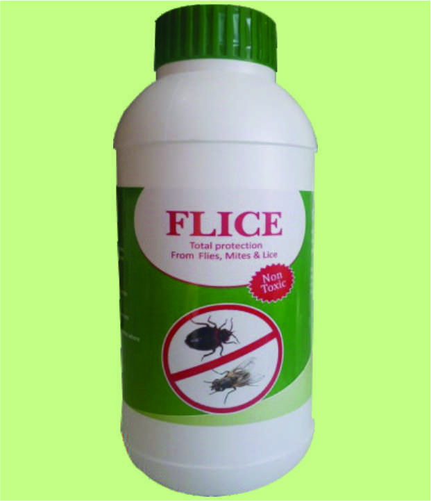 Flice